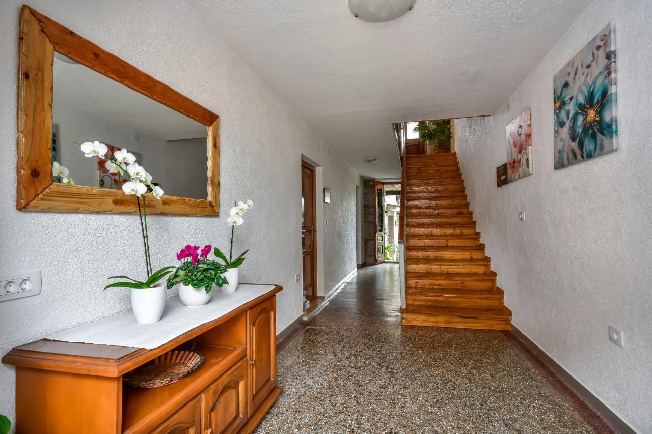 Apartment Roza